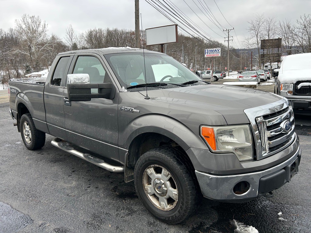 2010 Ford F-150 Image 3
