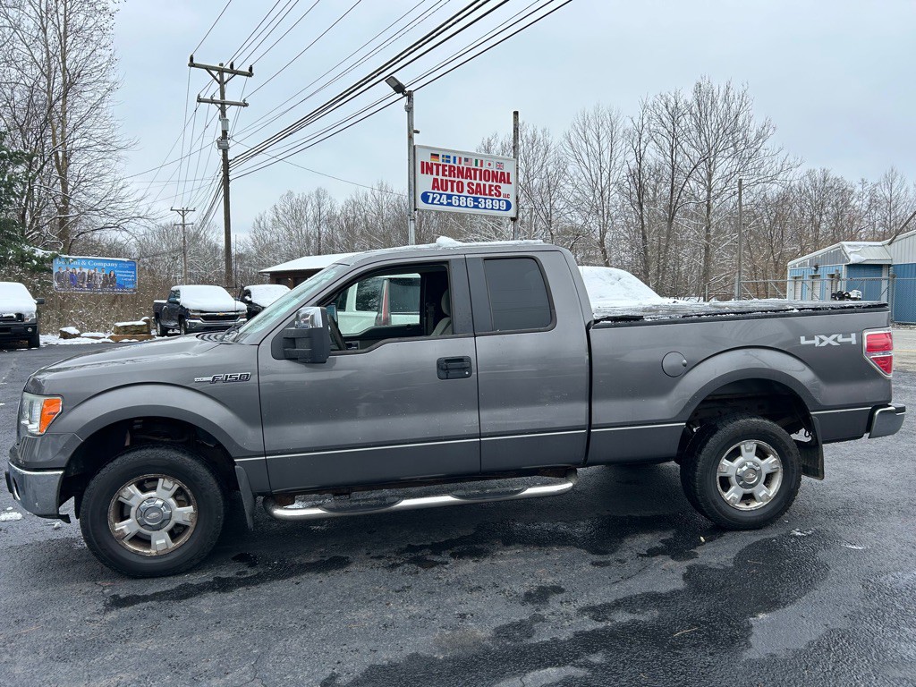 2010 Ford F-150 Image 4