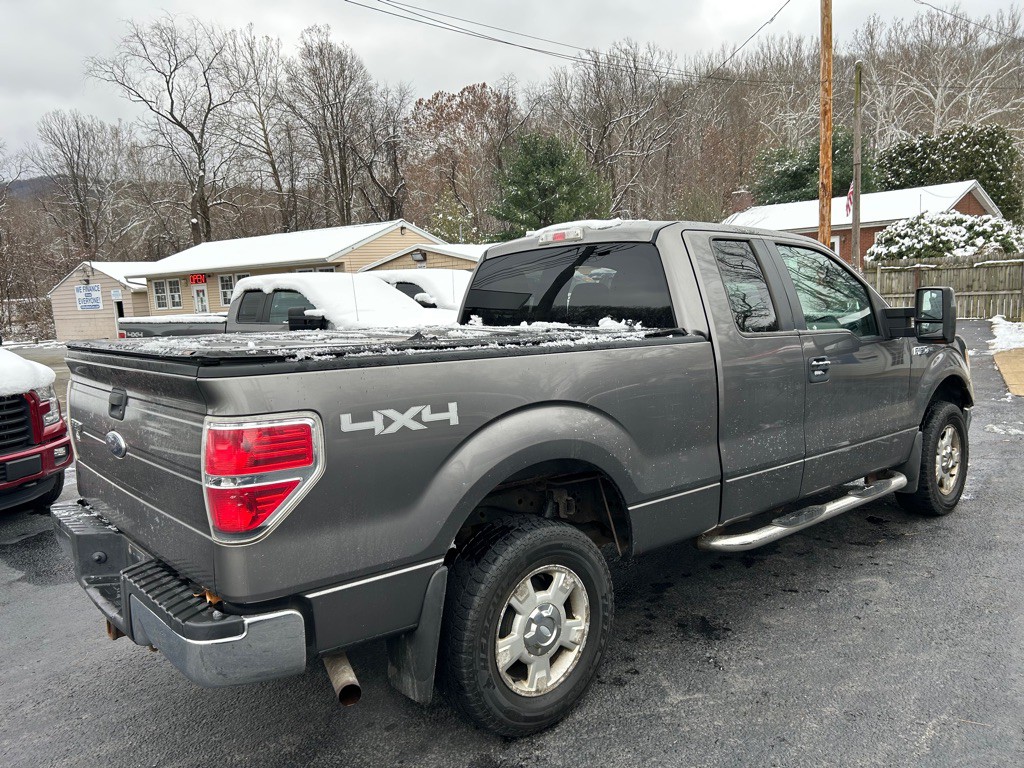 2010 Ford F-150 Image 7