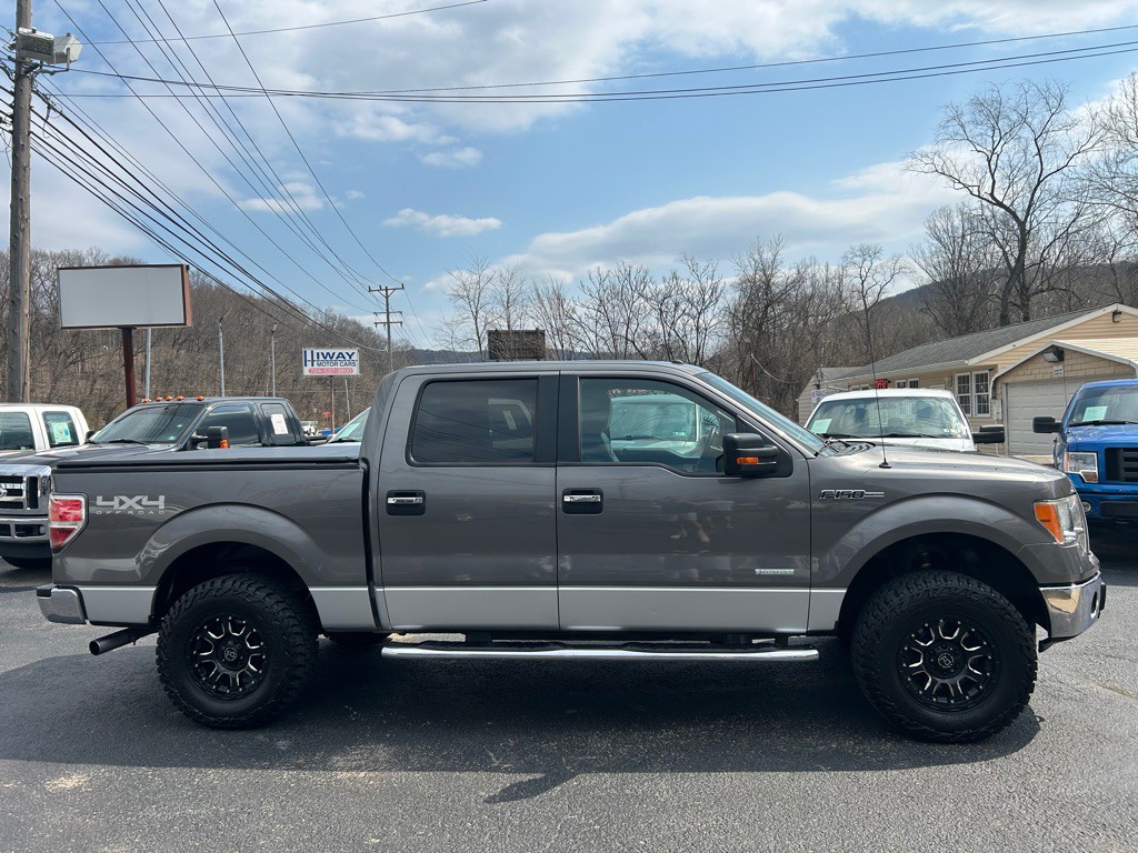 2011 Ford F-150 Image 3