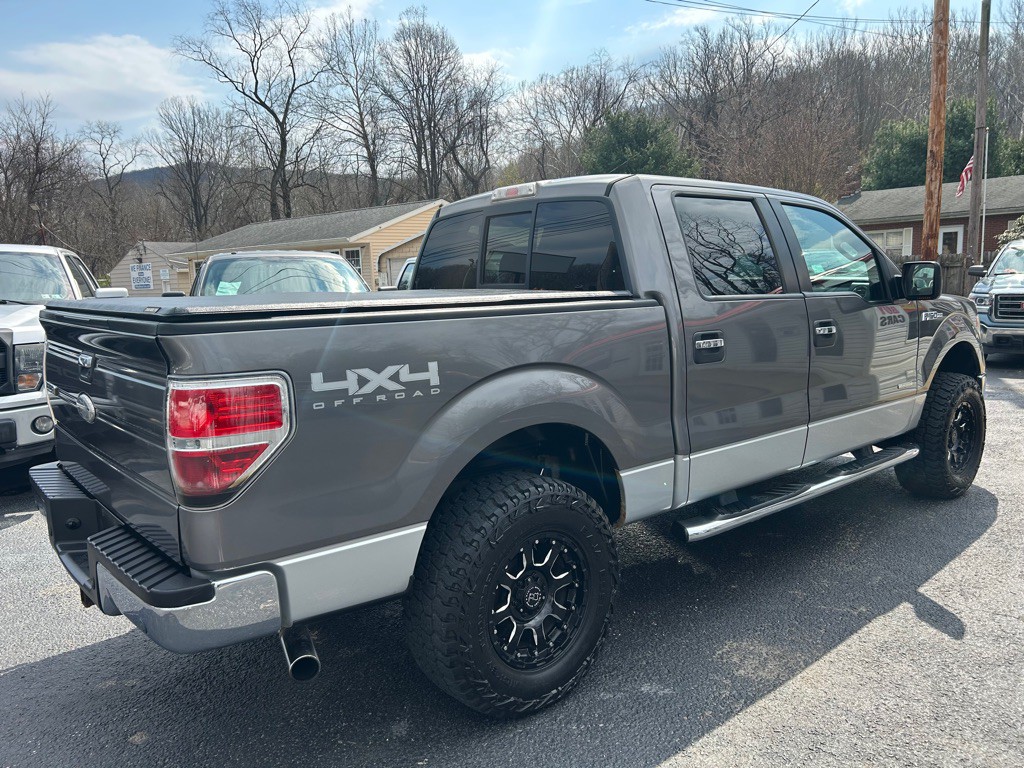 2011 Ford F-150 Image 4