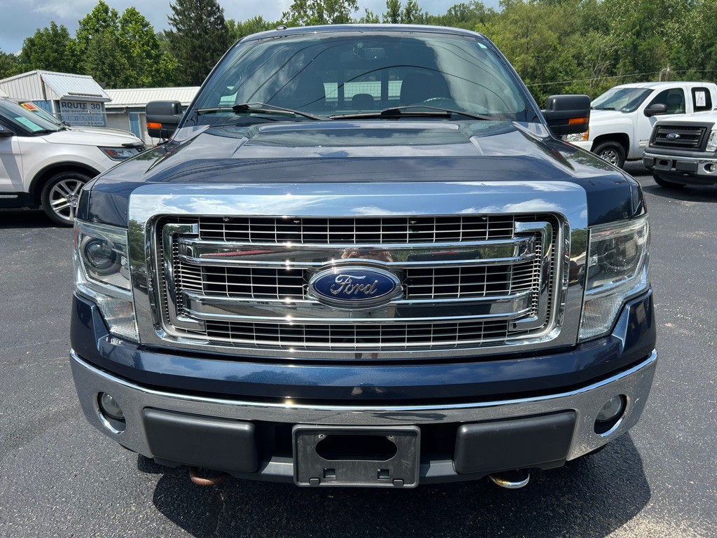 2014 Ford F-150 Image 3