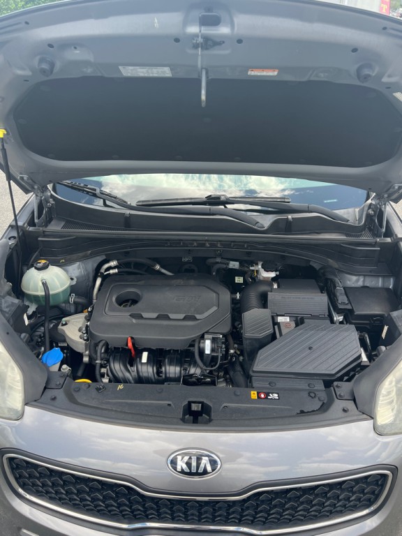 2019 Kia Sportage Image 14