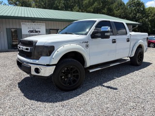 Image for 2010 Ford F-150 XL ID: 6711010
