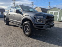 Image for 2019 Ford F-150 Raptor ID: 7068244