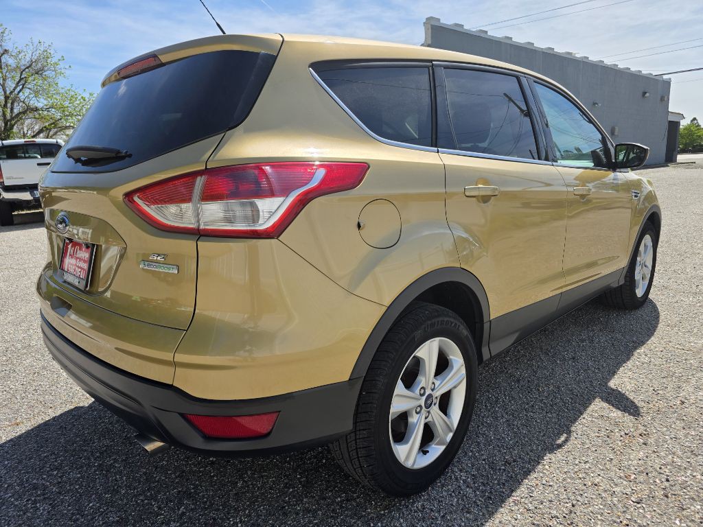 2014 Ford Escape Image 4