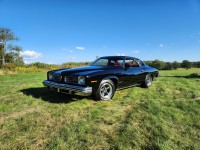Image for 1974 Pontiac Lemans Sport ID: 6561878