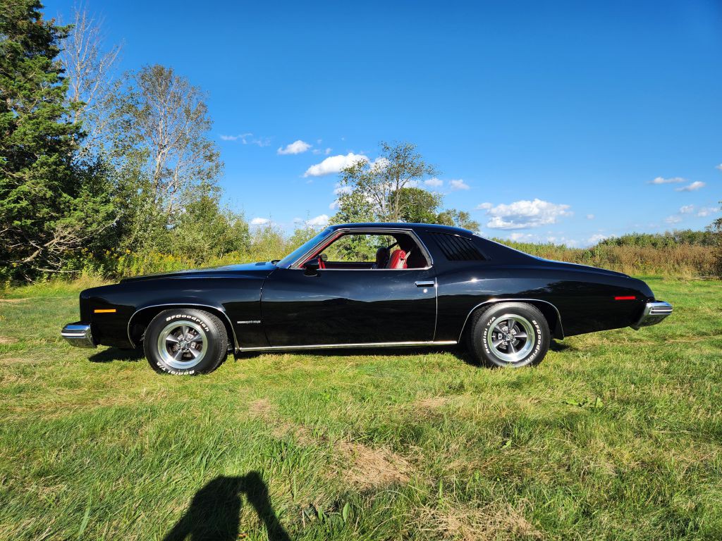 1974 Pontiac Lemans Image 3