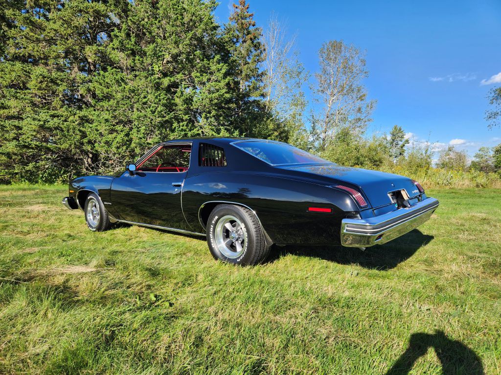 1974 Pontiac Lemans Image 5