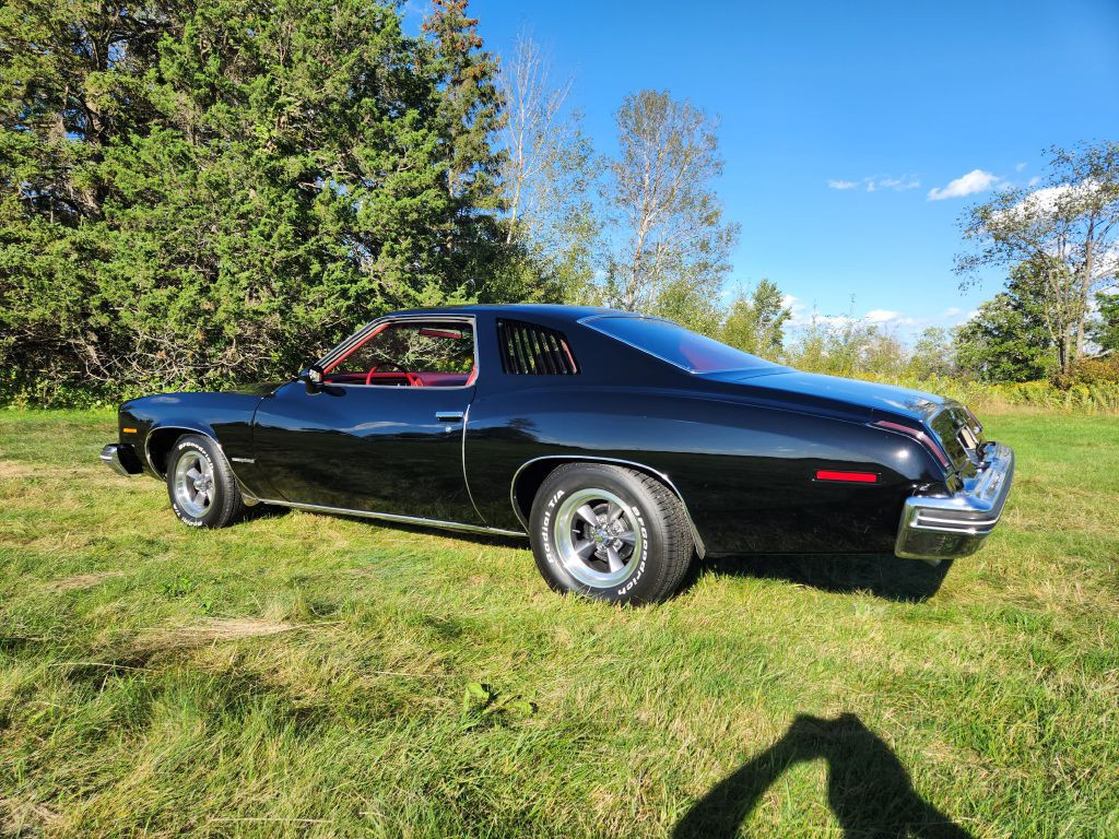 1974 Pontiac Lemans Image 6