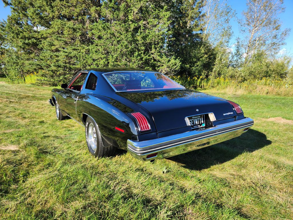 1974 Pontiac Lemans Image 7