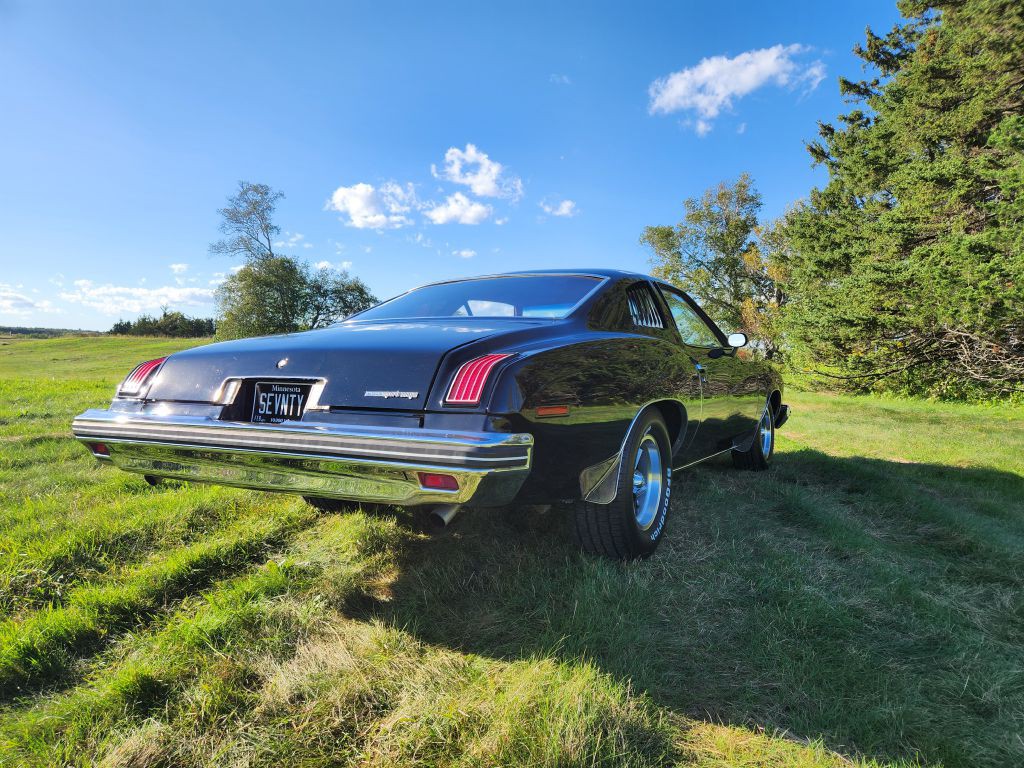 1974 Pontiac Lemans Image 9