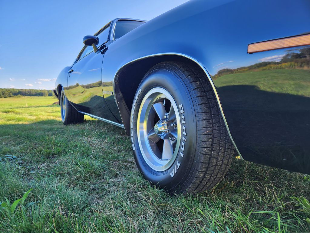 1974 Pontiac Lemans Image 14