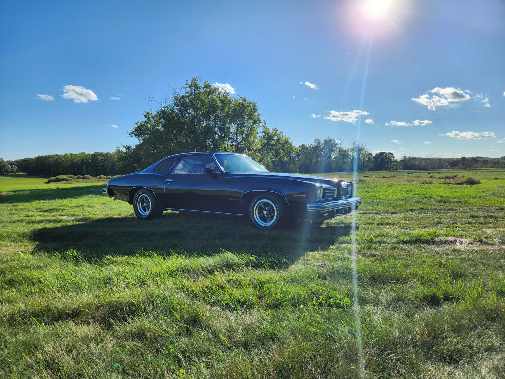 1974 Pontiac Lemans Image 16