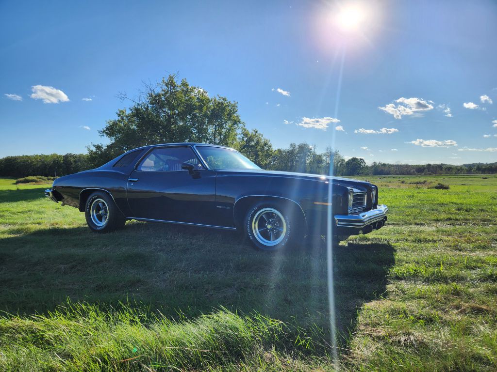 1974 Pontiac Lemans Image 17