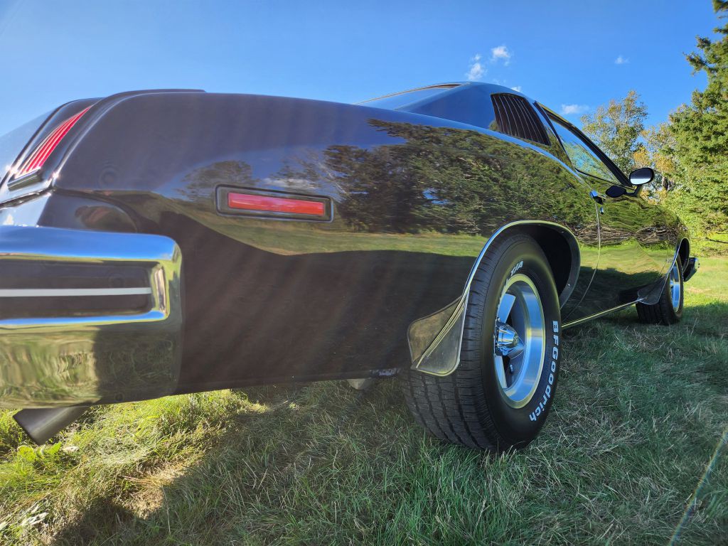 1974 Pontiac Lemans Image 19