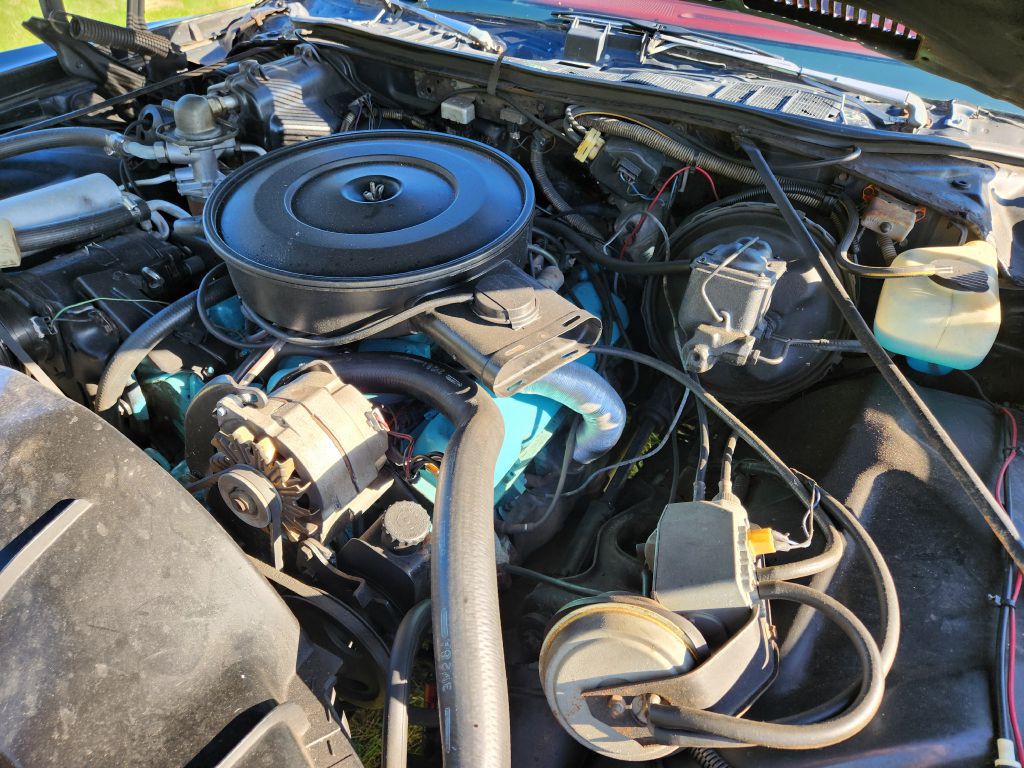 1974 Pontiac Lemans Image 49