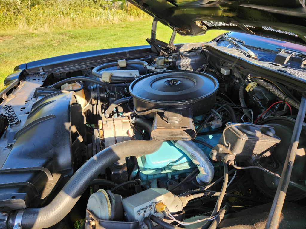 1974 Pontiac Lemans Image 50