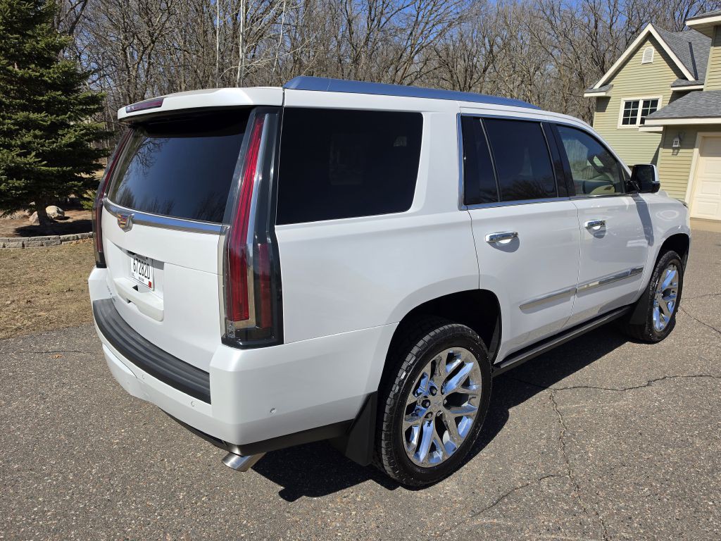 2019 Cadillac Escalade Image 6