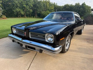Image for 1974 Pontiac Lemans Sport ID: 7681616