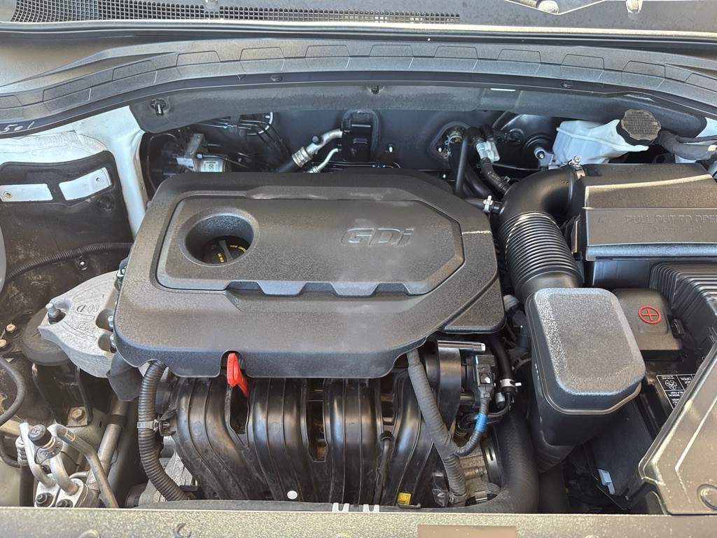 2019 Hyundai Santa Fe Image 51