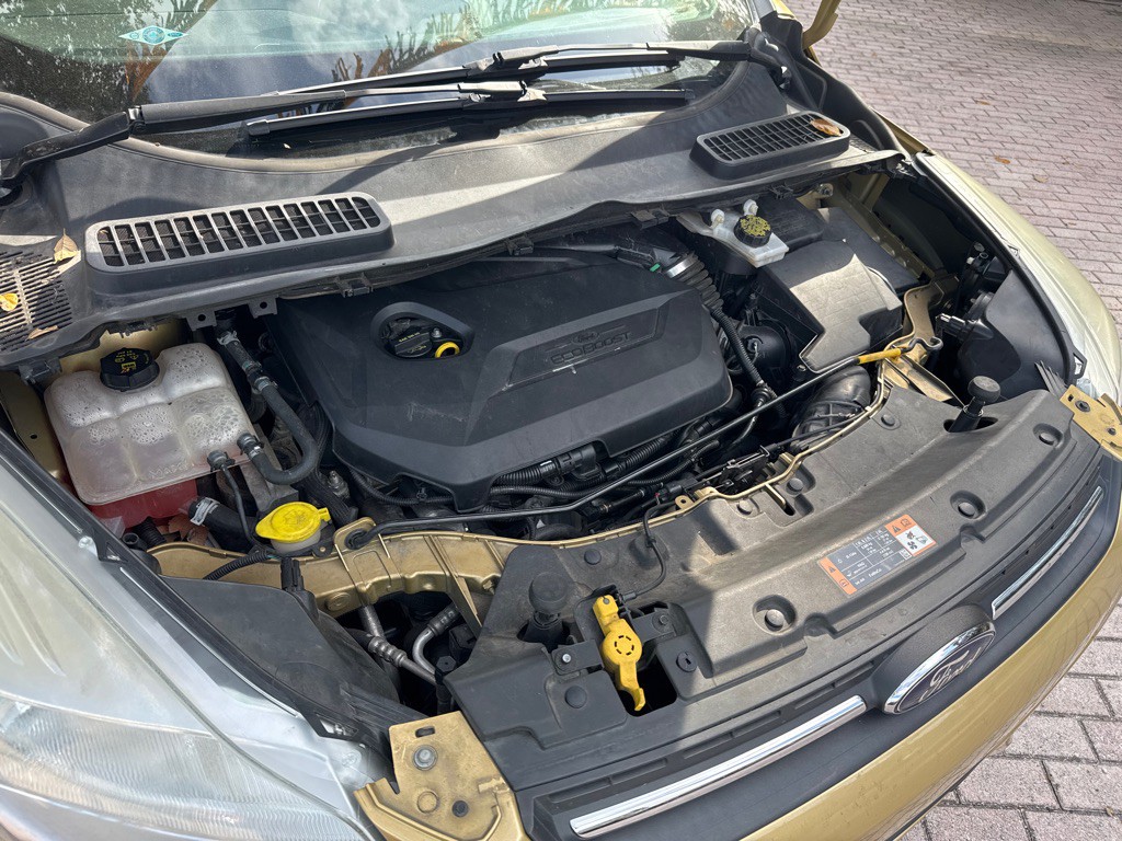 2014 Ford Escape Image 19