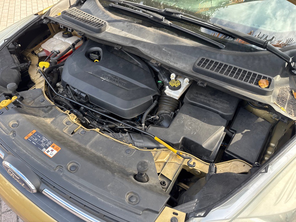 2014 Ford Escape Image 20