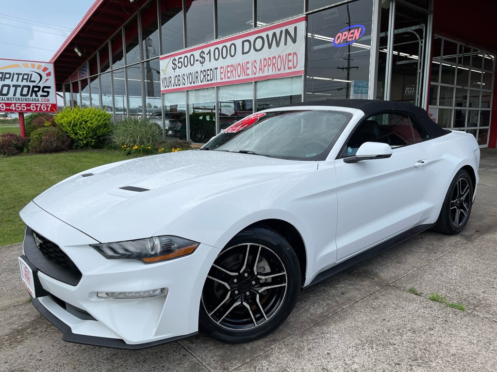 2019 Ford Mustang Image 1