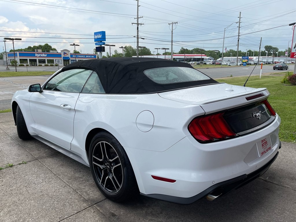2019 Ford Mustang Image 2