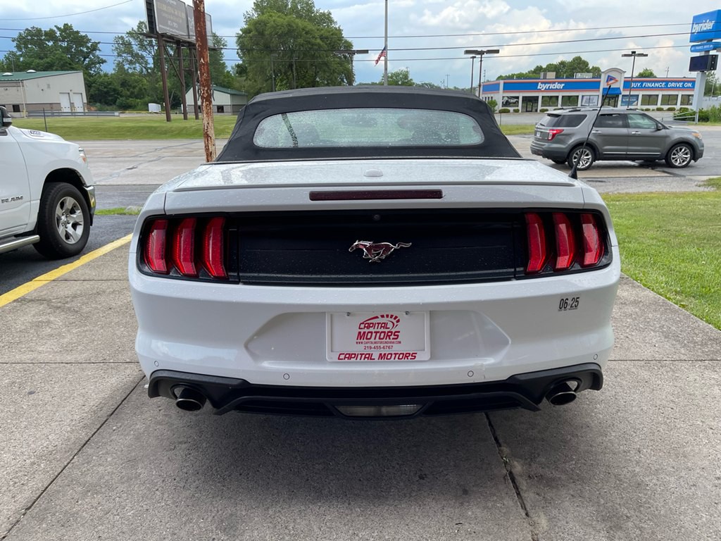 2019 Ford Mustang Image 3