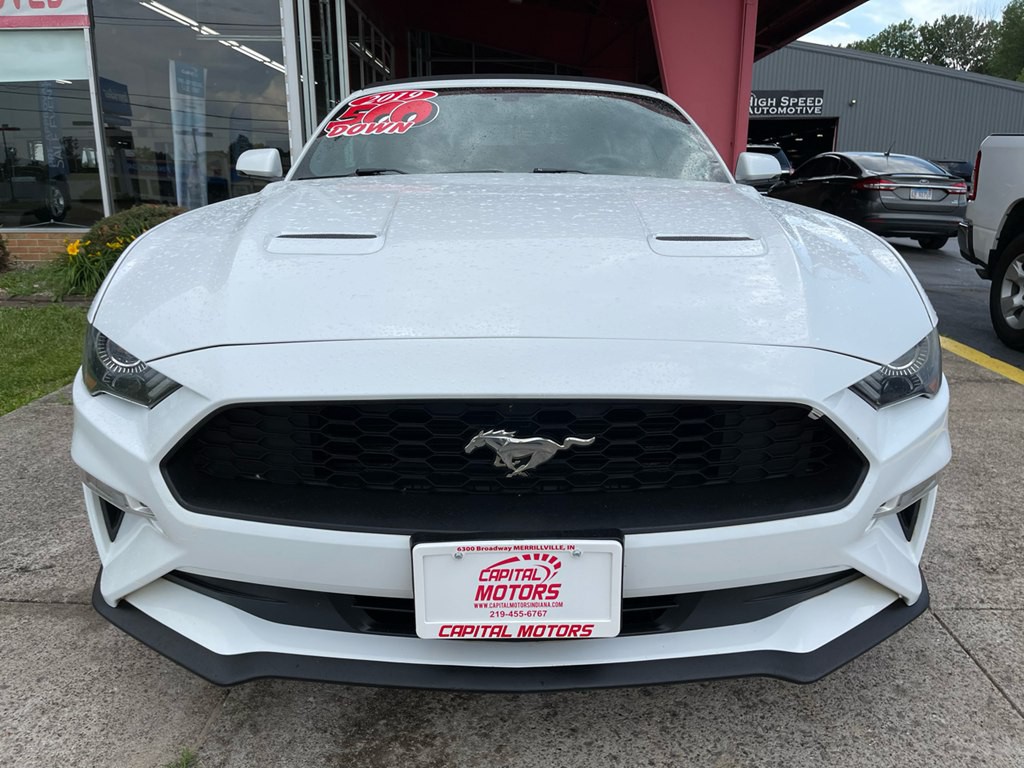 2019 Ford Mustang Image 6