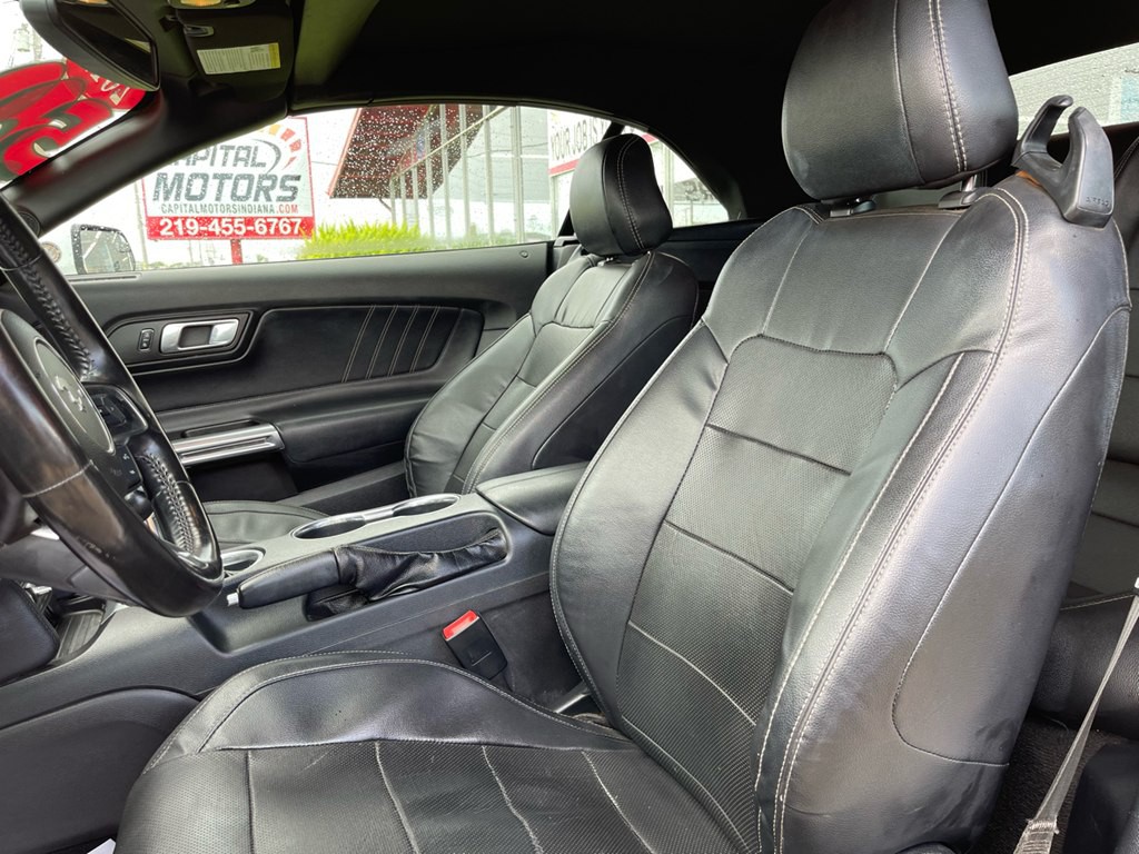 2019 Ford Mustang Image 10