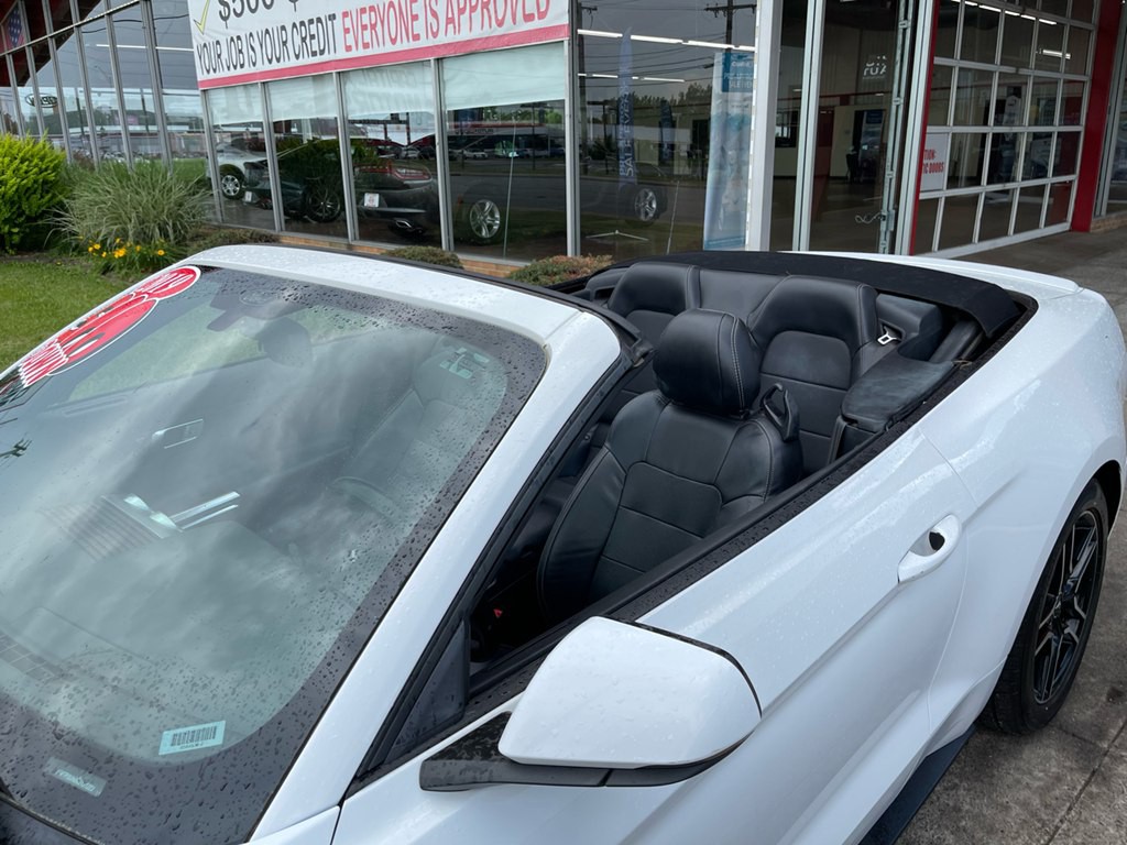 2019 Ford Mustang Image 15