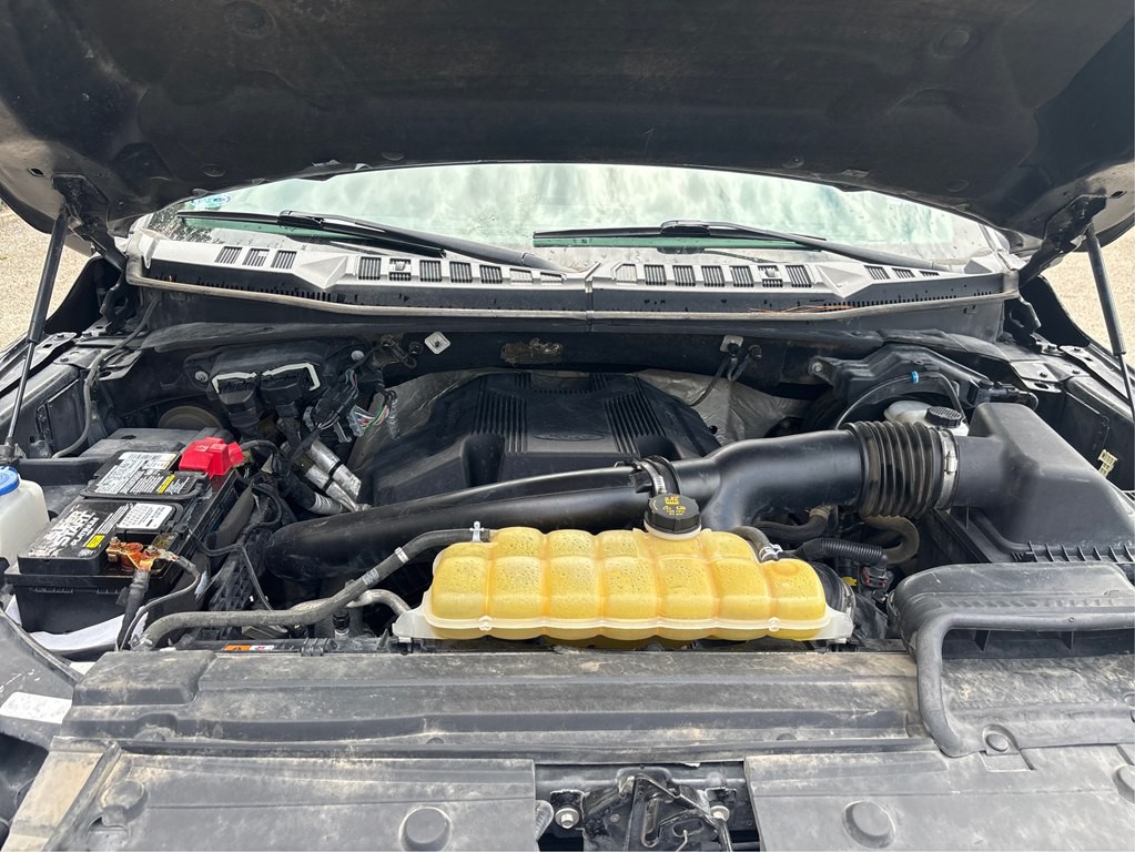 2019 Ford F-150 Image 11