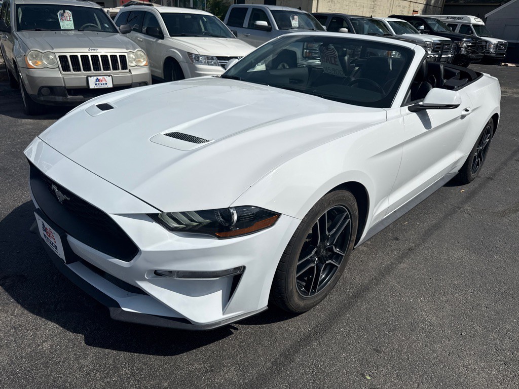 2019 Ford Mustang Image 1