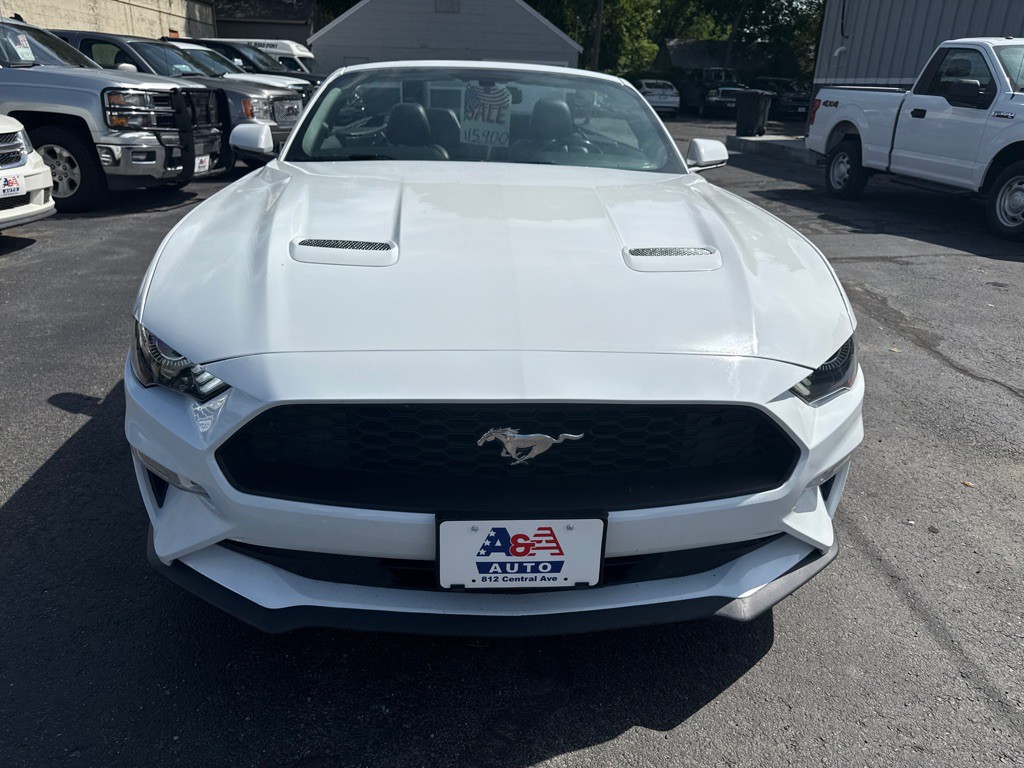 2019 Ford Mustang Image 2