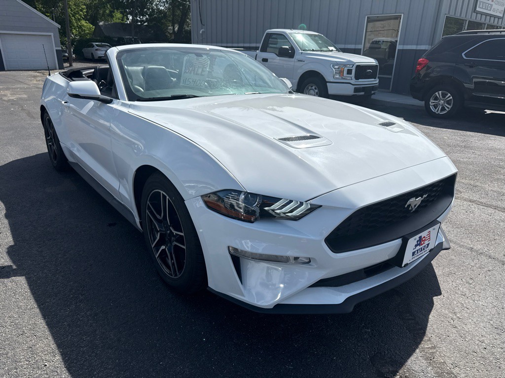 2019 Ford Mustang Image 3