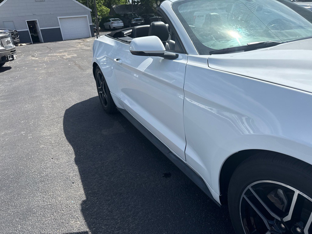 2019 Ford Mustang Image 4