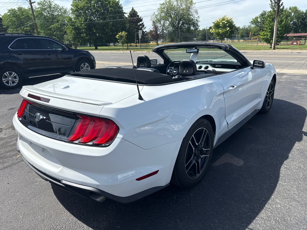 2019 Ford Mustang Image 5