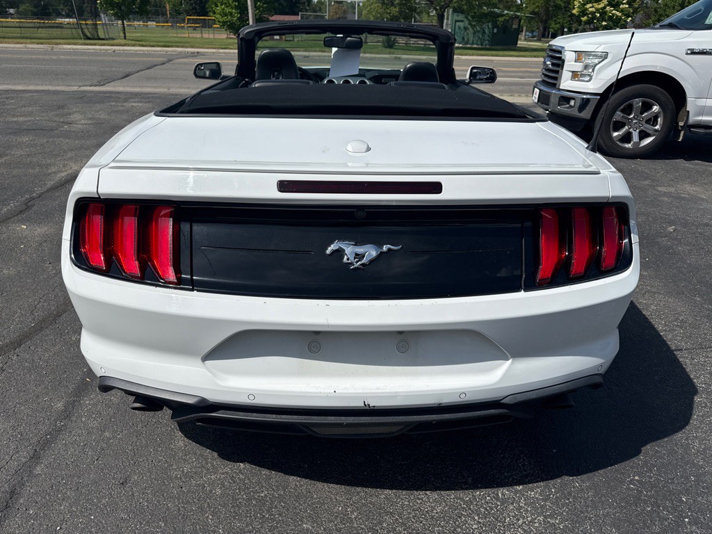 2019 Ford Mustang Image 6