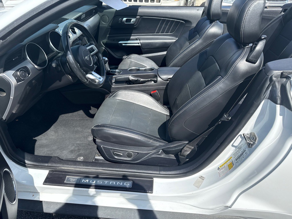 2019 Ford Mustang Image 10