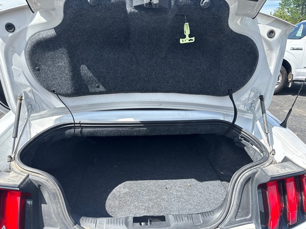 2019 Ford Mustang Image 13