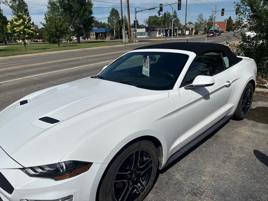 2019 Ford Mustang Image 16