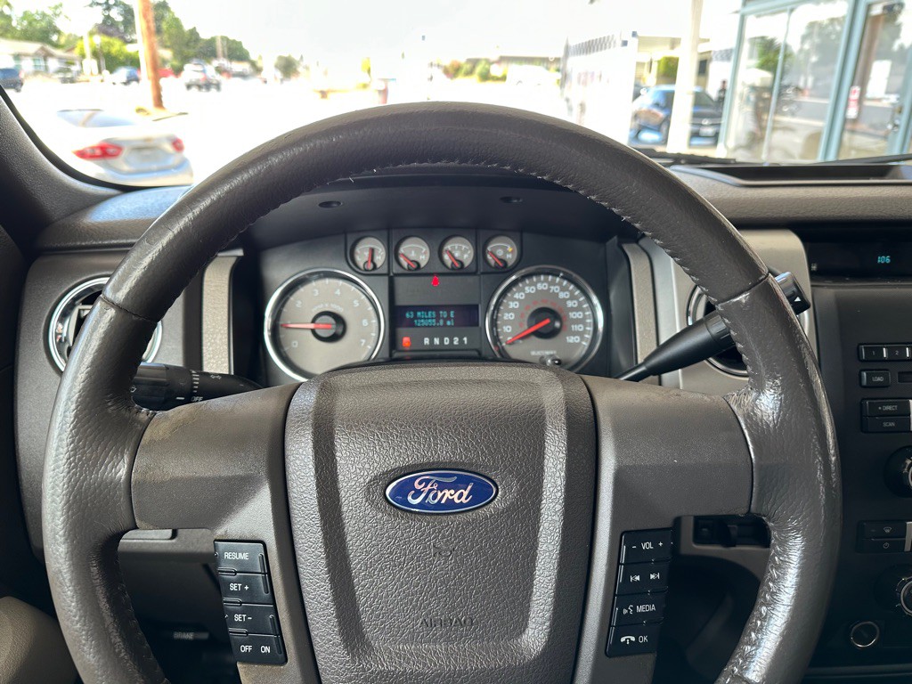 2010 Ford F-150 Image 14