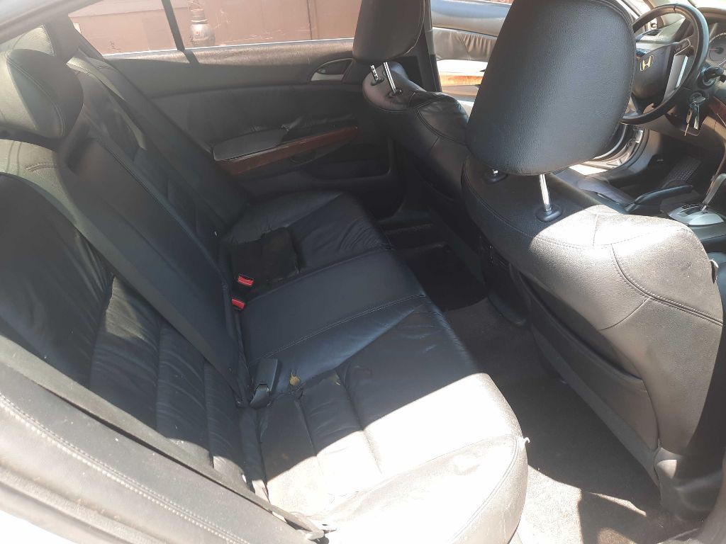 2011 Honda Accord Image 14