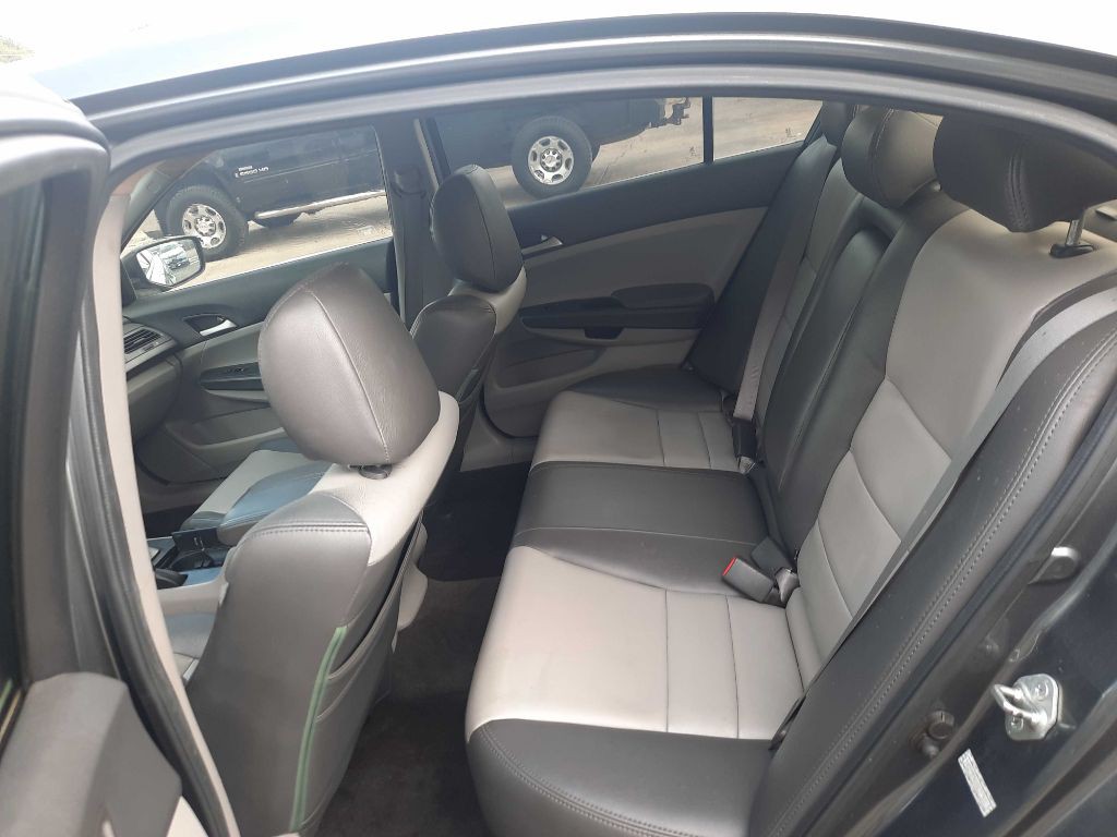 2010 Honda Accord Image 6