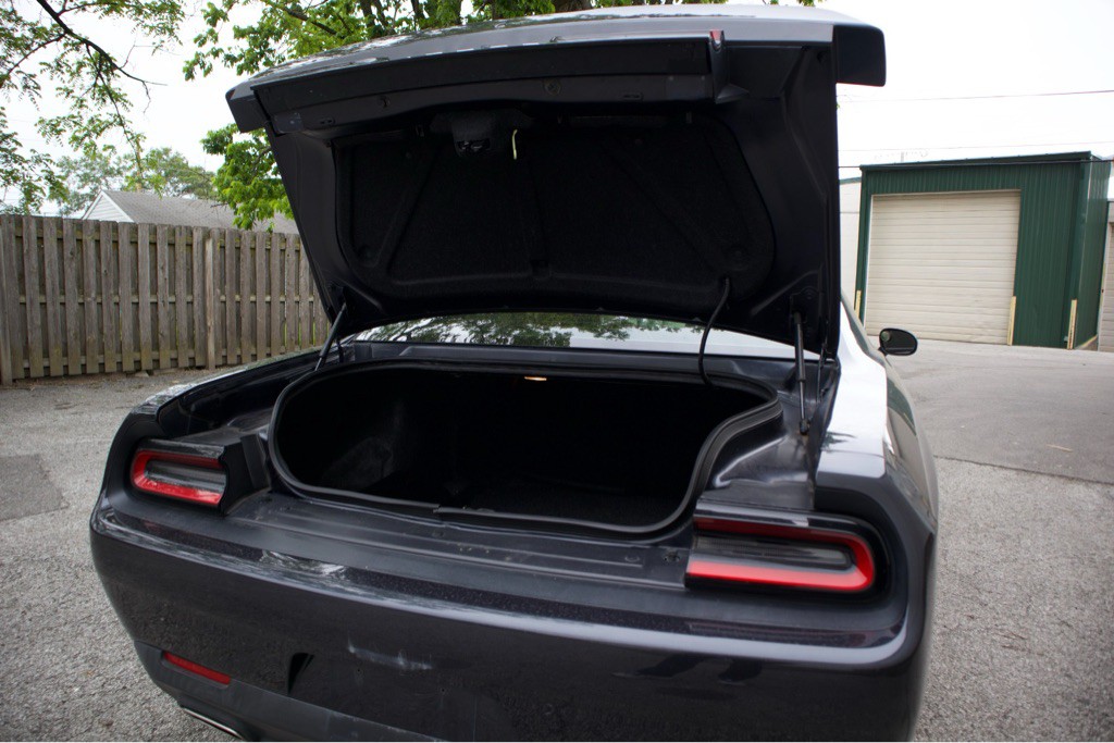 2019 Dodge Challenger Image 7