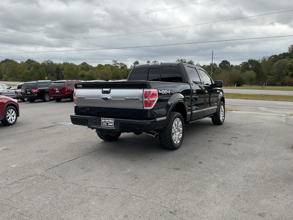2013 Ford F-150 Image 3