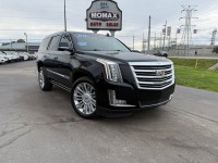 Image for 2016 Cadillac Escalade Platinum ID: 6498719