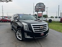 Image for 2017 Cadillac Escalade Esv Luxury ID: 6601311